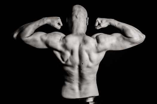 Studiofotografie Akt Mann mit Muskeln, Bodybuilding
